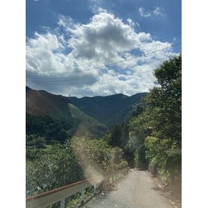 875DCE1B-C018-40A3-BF6A-5C13DD970BB8
